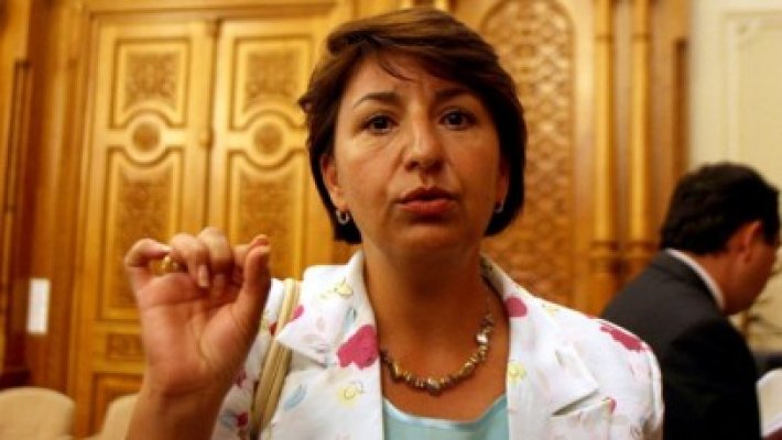 PDL s-a decis: Vot uninominal şi menţinerea pragului electoral de 5%